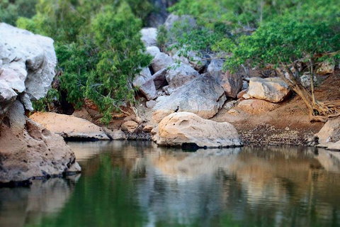 Windjana Gorge And Tunnel Creek 4WD Tour From Broome - Accommodation Coffs Harbour 17