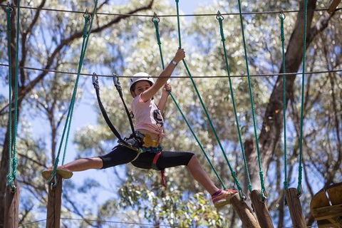 Busselton High Ropes And Zipline Adventure - Accommodation Coffs Harbour 1