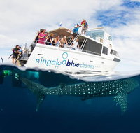 VIP luxury chartered escapes exploring the reef at your own pace - Accommodation Coffs Harbour