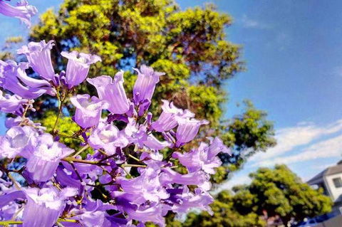 Big Perth (Private) Day Tour - Accommodation Coffs Harbour 19