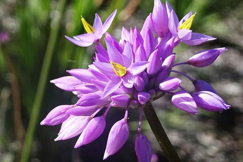 Big Perth (Private) Day Tour - Accommodation Coffs Harbour 16