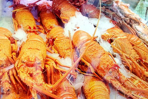 Big Perth (Private) Day Tour - Accommodation Coffs Harbour 18