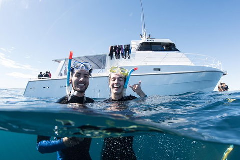 Swim With Whale Sharks - Ningaloo Reef - 3 Islands Whale Shark Dive - Accommodation Coffs Harbour 20