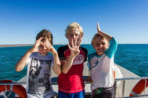 Swim With Whale Sharks - Ningaloo Reef - 3 Islands Whale Shark Dive - Accommodation Coffs Harbour 15