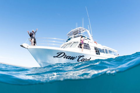 Swim With Whale Sharks - Ningaloo Reef - 3 Islands Whale Shark Dive - Accommodation Coffs Harbour 12