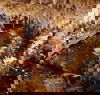 Jewel Cave Fully-guided Tour - Accommodation Coffs Harbour