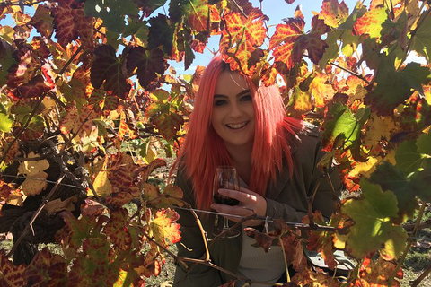 Swan Valley Winery Experience - Full Day Coach Tour - Accommodation Coffs Harbour 0