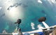 Rottnest Island Tandem Skydive - thumb 1