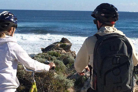 Rottnest Island ECO E Bike Tour - Accommodation Coffs Harbour 3