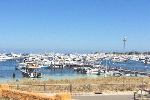 Rottnest Island ECO E Bike Tour - Accommodation Coffs Harbour 6
