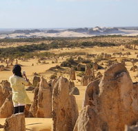 Full-Day Pinnacles Sandboarding and Yanchep National Park from Perth - Accommodation Coffs Harbour