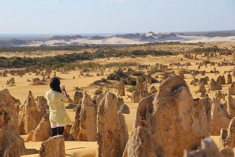 Full-Day Pinnacles Sandboarding And Yanchep National Park From Perth - Accommodation Coffs Harbour 0