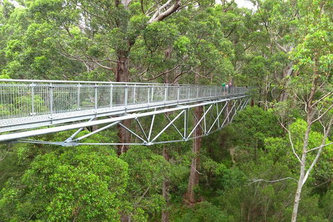Albany Southwest Wilderness Day Tour - Fly From Perth - Accommodation Coffs Harbour 2