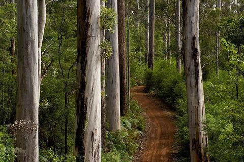 Albany Southwest Wilderness Day Tour - Fly From Perth - Accommodation Coffs Harbour 6