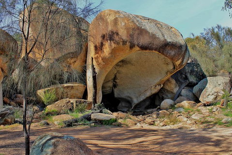 Wave Rock And Pinnacles Air & Ground Tour - Accommodation Coffs Harbour 9