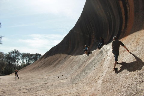 Wave Rock And Pinnacles Air & Ground Tour - Accommodation Coffs Harbour 7
