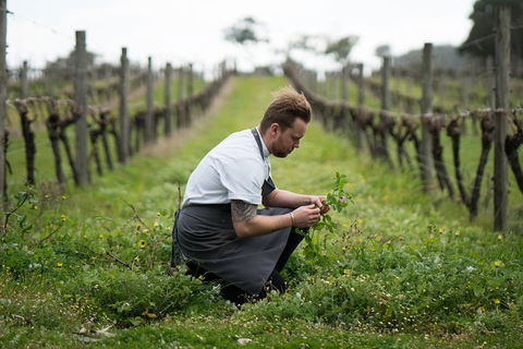 Vasse Felix Epicurean Tour And Tasting Experience With 5 Course Lunch - Accommodation Coffs Harbour 9