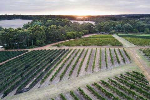 Vasse Felix Epicurean Tour And Tasting Experience With 5 Course Lunch - Accommodation Coffs Harbour 7