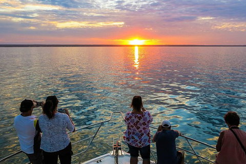 Humpback Whale Sunset Cruise - Accommodation Coffs Harbour 1