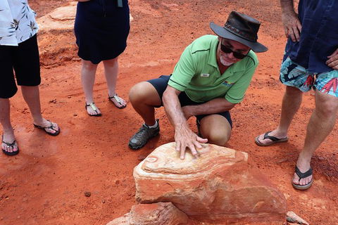 Broome Panoramic Town Tour - All The Extraordinary Sights And History Of Broome - Accommodation Coffs Harbour 10