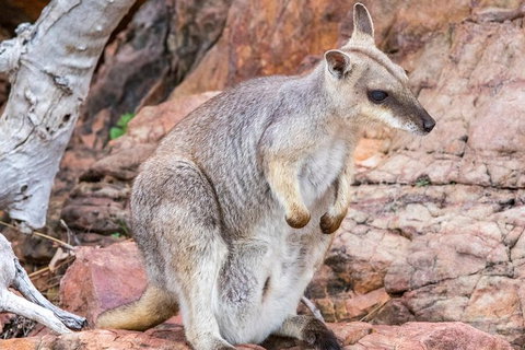 Lake Argyle Sunset Magic Cruise Departing Kununurra - Accommodation Coffs Harbour 3