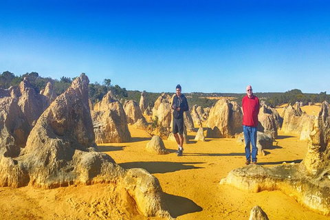 Pinnacles Day Trip Including Yanchep, Cave, Cervantes And Scarborough Beach - Accommodation Coffs Harbour 1
