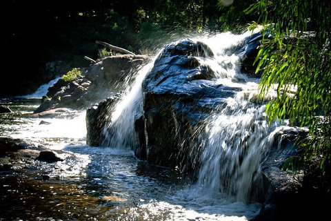 Margaret River Wine Adventure - The Tour For People Who Don\'t Do Tours! - Accommodation Coffs Harbour 17