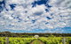 Margaret River Wine Adventure - The Tour For People Who Don\'t Do Tours! - thumb 14