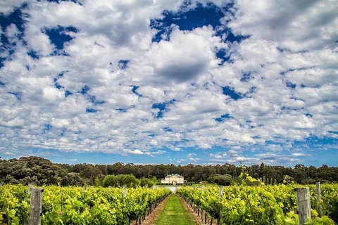 Margaret River Wine Adventure - The Tour For People Who Don\'t Do Tours! - Accommodation Coffs Harbour 14