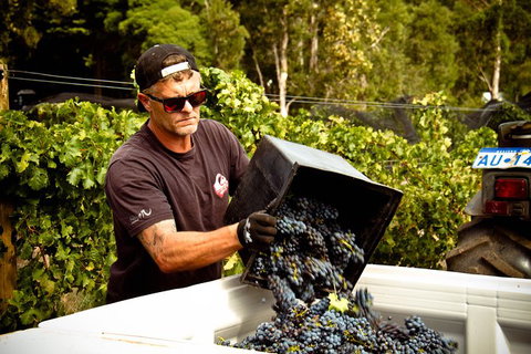 Margaret River Wine Adventure - The Tour For People Who Don\'t Do Tours! - Accommodation Coffs Harbour 26