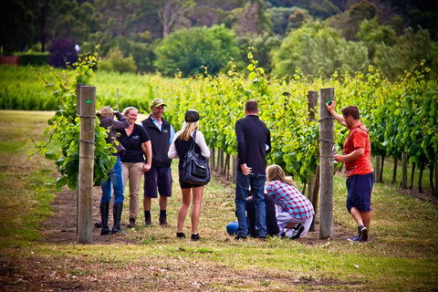 Margaret River Wine Adventure - The Tour For People Who Don\'t Do Tours! - Accommodation Coffs Harbour 27