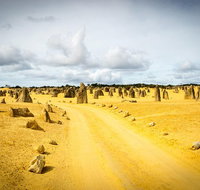 1 Day Pinnacles Wildlife  Sandboarding - Accommodation Coffs Harbour