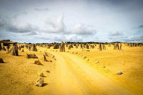 1 Day Pinnacles, Wildlife & Sandboarding - Accommodation Coffs Harbour 0