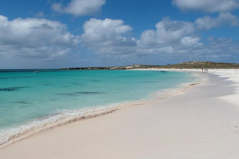 Pink Lake And Abrolhos Full Day Fly And Flipper - Accommodation Coffs Harbour 0
