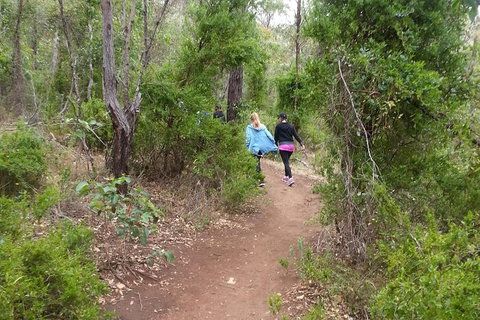 Granite Skywalk Porongurups - Accommodation Coffs Harbour 1
