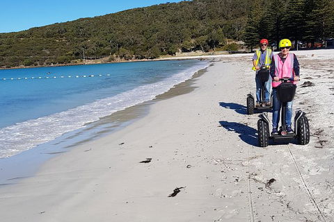Albany Summit To Sea Adventure - Guided Segway Tour - Accommodation Coffs Harbour 1