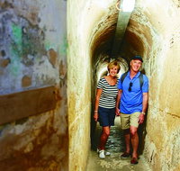 Rottnest Island Oliver Hill Train and Tunnel Day Trip from Perth - Accommodation Coffs Harbour