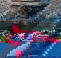 Dunsborough Jet Boat Sea Safari Along Cape Naturaliste Coast - Accommodation Coffs Harbour