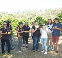 Chittering Valley Back To Nature Tour - Accommodation Coffs Harbour