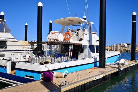 Muiron Island Dive & Snorkel Tour - Accommodation Coffs Harbour 7
