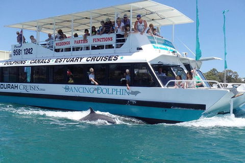 Mandurah Dolphin And Scenic Marine Cruise - Accommodation Coffs Harbour 1