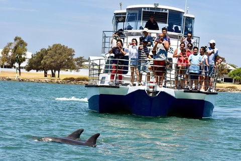 Mandurah Dolphin And Scenic Marine Cruise - Accommodation Coffs Harbour 0
