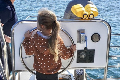 Mandurah Dolphin And Scenic Marine Cruise - Accommodation Coffs Harbour 10