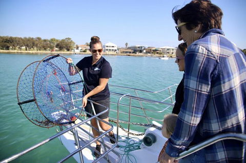 Mandurah Dolphin And Scenic Marine Cruise - Accommodation Coffs Harbour 16