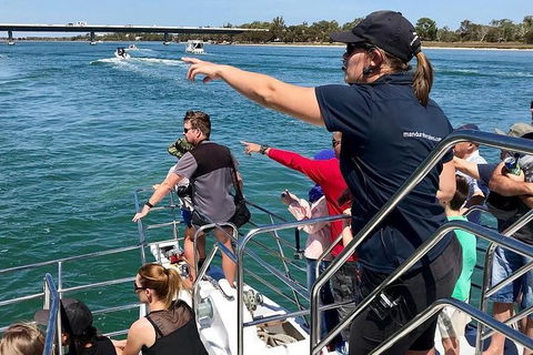 Mandurah Dolphin And Scenic Marine Cruise - Accommodation Coffs Harbour 19