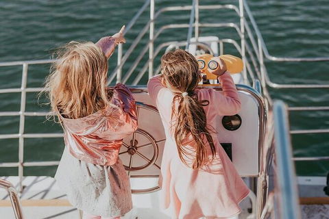 Mandurah Dolphin And Scenic Marine Cruise - Accommodation Coffs Harbour 13