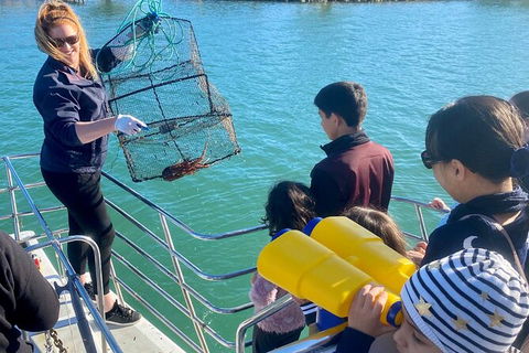 Mandurah Dolphin And Scenic Marine Cruise - Accommodation Coffs Harbour 18