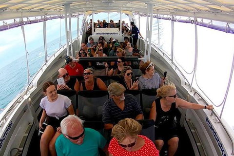 Mandurah Dolphin Island Adventure - Accommodation Coffs Harbour 12