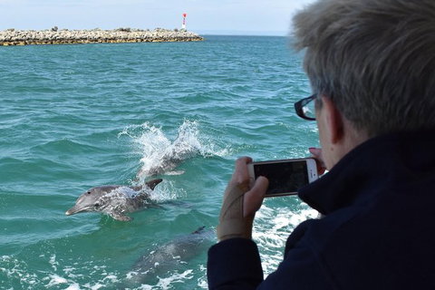 Mandurah Dolphin Island Adventure - Accommodation Coffs Harbour 2