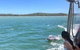 Mandurah Dolphin Island Adventure - thumb 9
